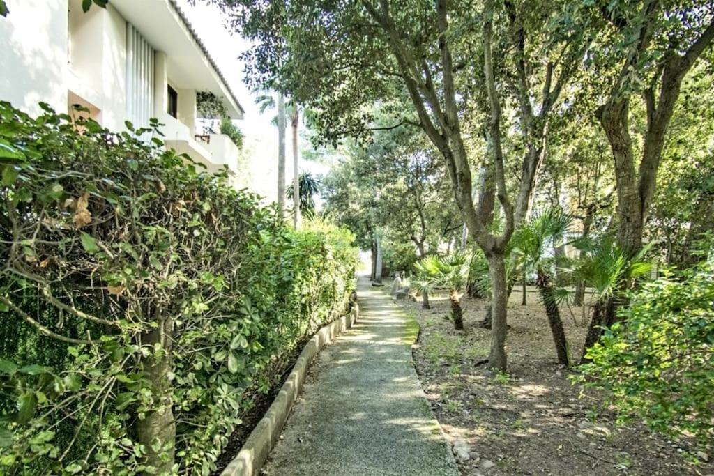 Fantastico Con Wifi Apartment Port de Pollença